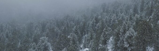 uploaded-image-pano-tasariminda-desenler-ve-arka-planlar-1697542332209